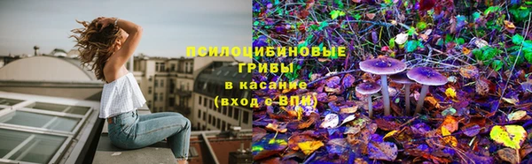 скорость Бородино