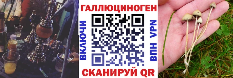 Галлюциногенные грибы MAGIC MUSHROOMS  Купить закладки  Буйнакск 